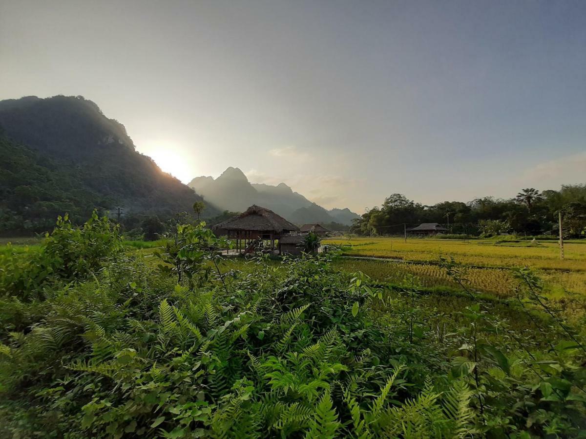 Xoi Farmstay - Eco Homestay Luc Yen Yen Bai Eksteriør bilde